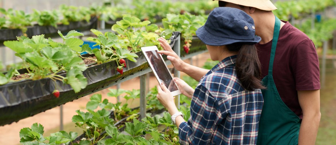 Modern Agriculture