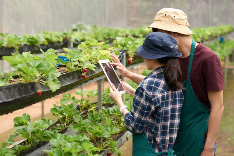 Modern Agriculture